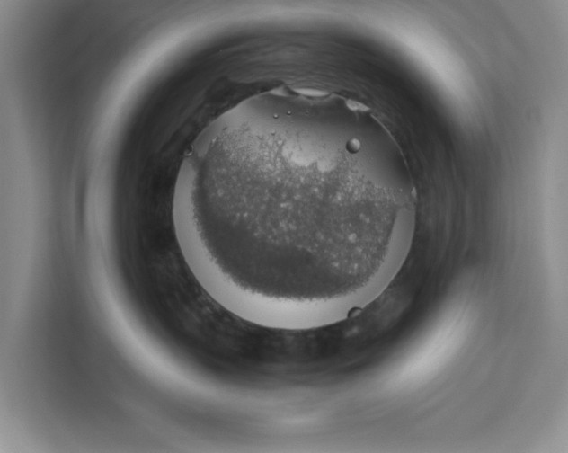 X0000111880383200908061319