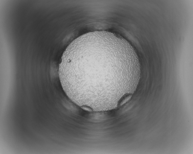 X0000111880384200908061319