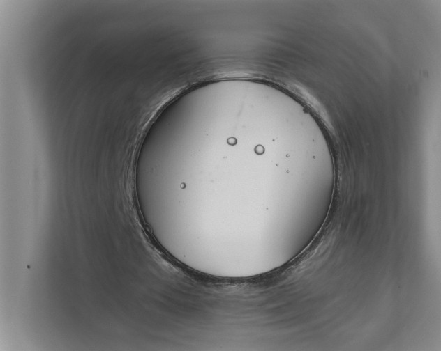 X0000111880385200908061318