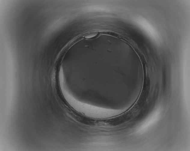 X0000111880387200908061318