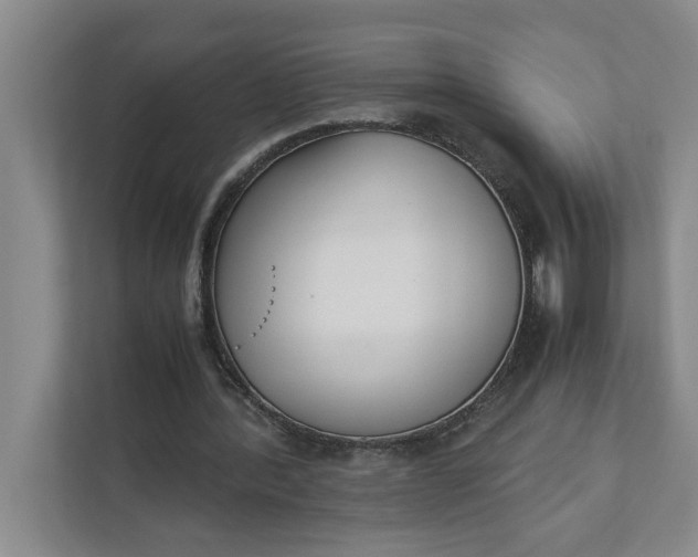 X0000111880388200908061318