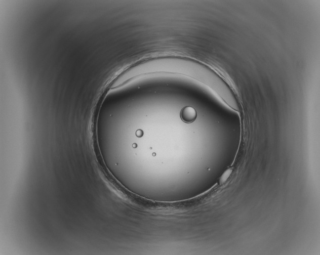 X0000111880389200908061318