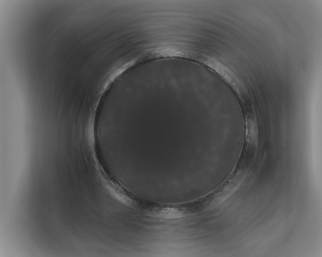 X0000111880390200908061318