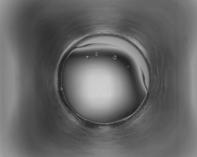 X0000111880391200908061318