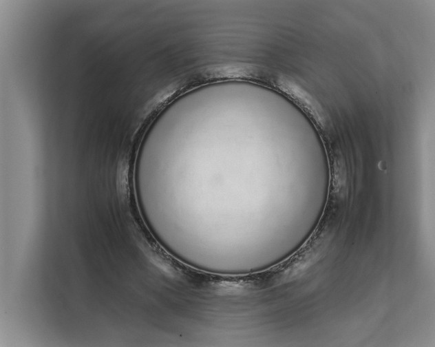 X0000111880394200908061318