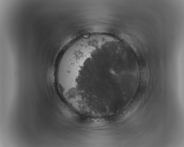 X0000111880395200908061318