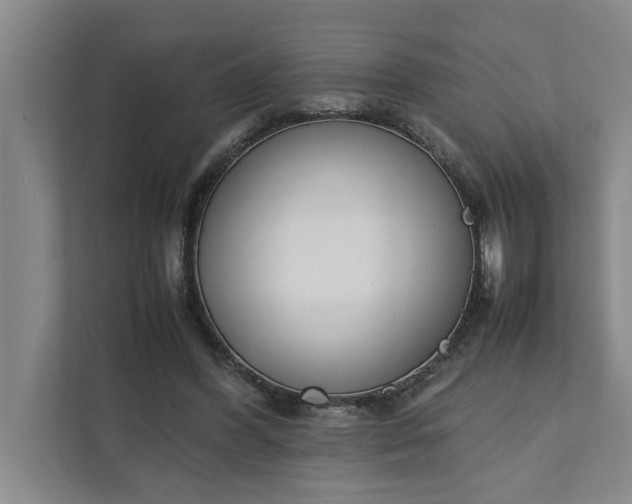 X0000111880396200908061318