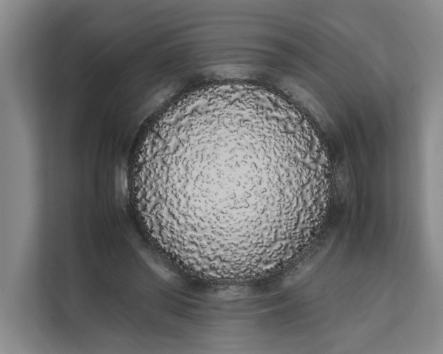 X0000111880398200908061318