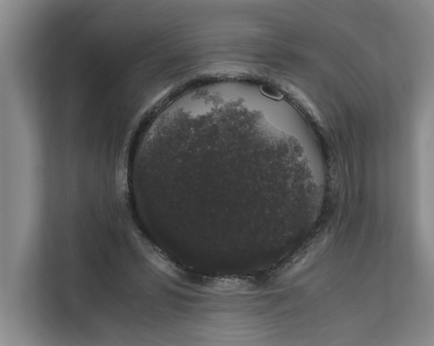 X0000111880399200908061318