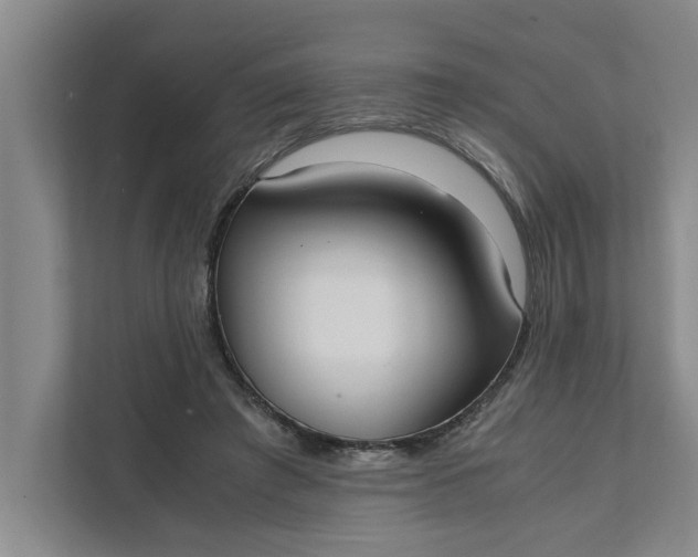 X0000111880401200908061318