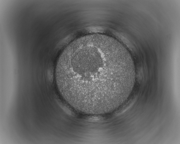 X0000111880402200908061318