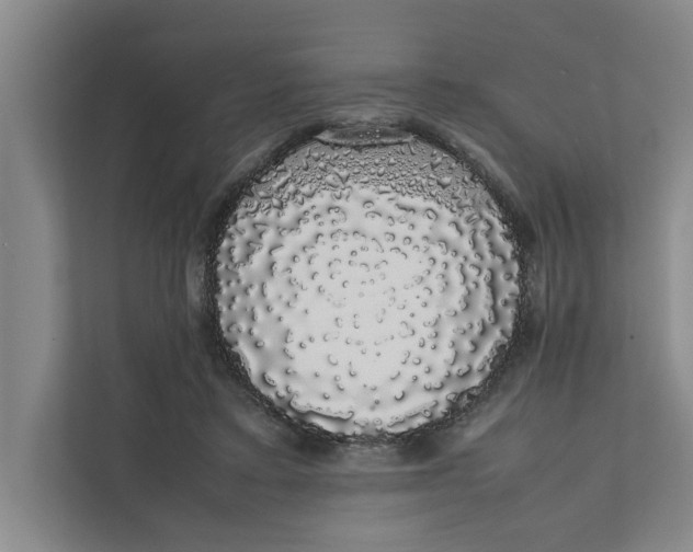 X0000111880403200908061318