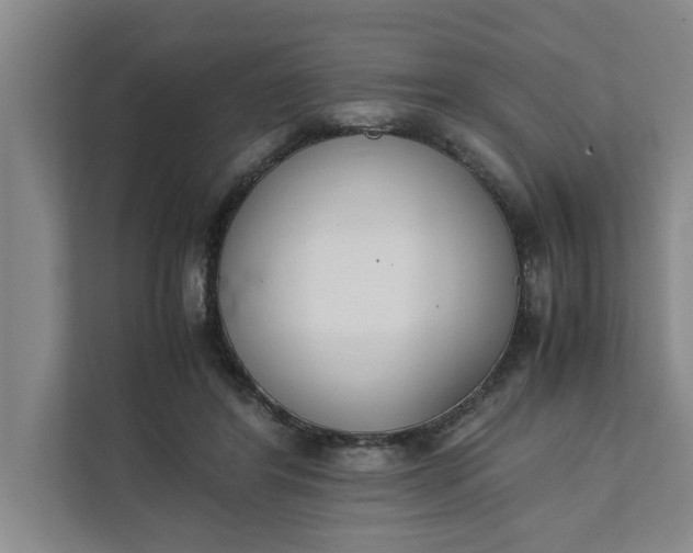 X0000111880404200908061318