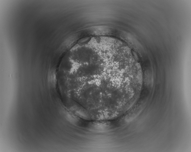 X0000111880405200908061318