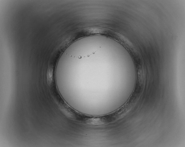 X0000111880406200908061318