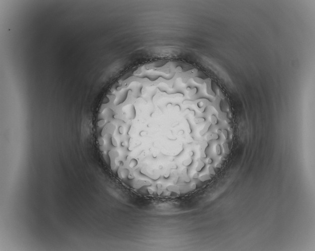 X0000111880407200908061318