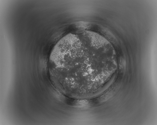 X0000111880409200908061318