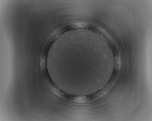 X0000111880410200908061318