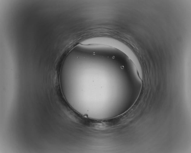 X0000111880411200908061318