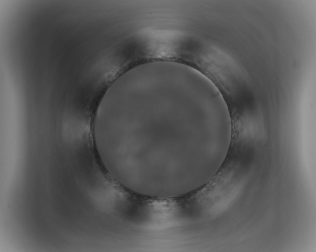 X0000111880415200908061318