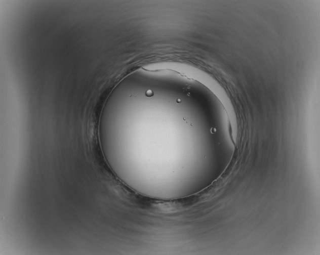 X0000111880417200908061318