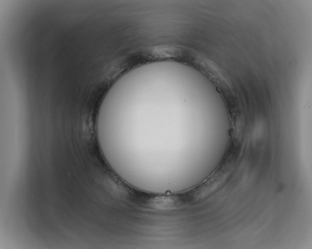 X0000111880418200908061318