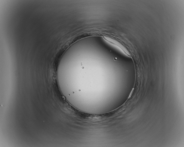 X0000111880419200908061318