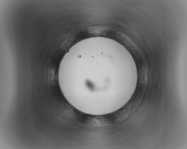 X0000111880420200908061318