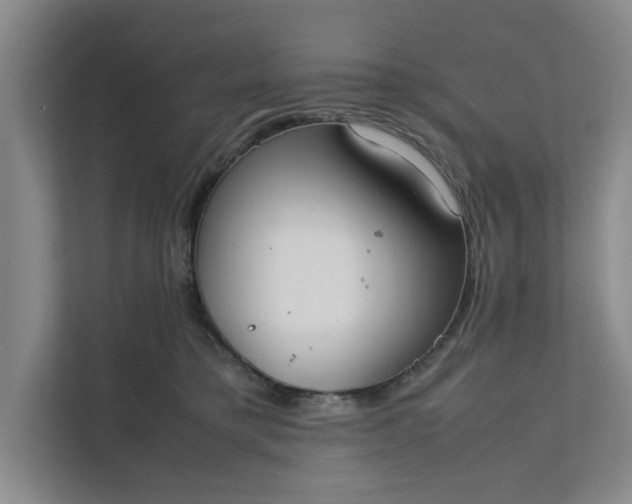 X0000111880421200908061318