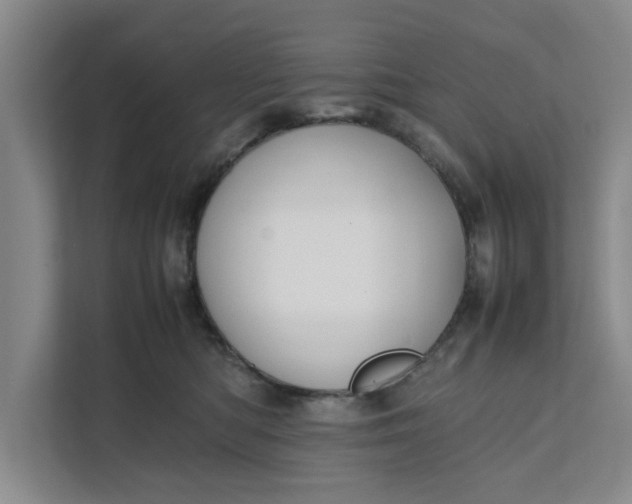 X0000111880422200908061318