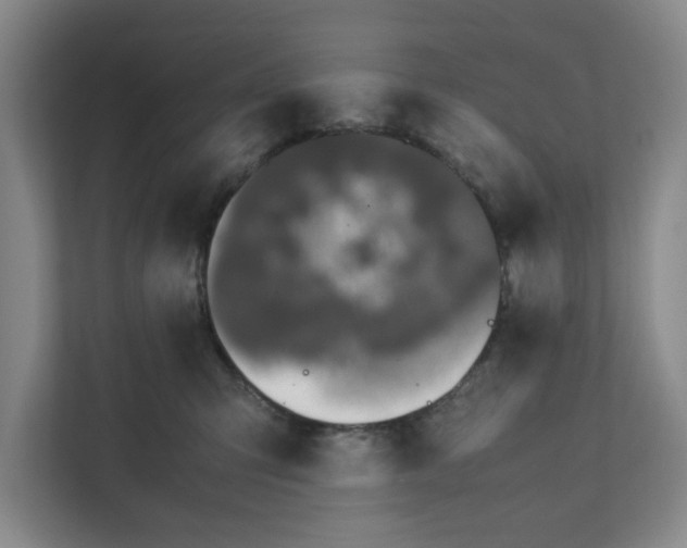 X0000111880423200908061318