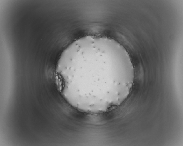 X0000111880425200908061318