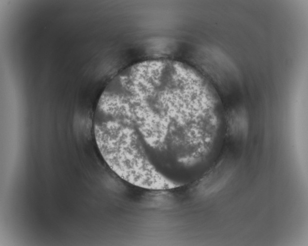 X0000111880427200908061318