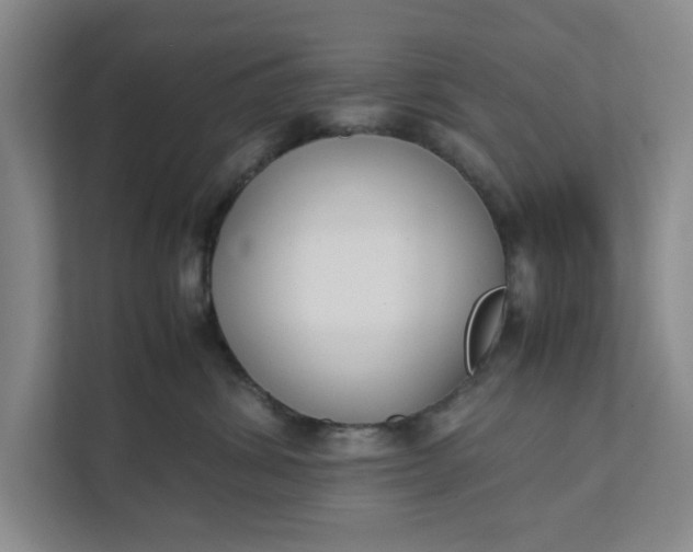 X0000111880428200908061318