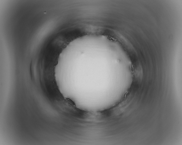 X0000111880429200908061317