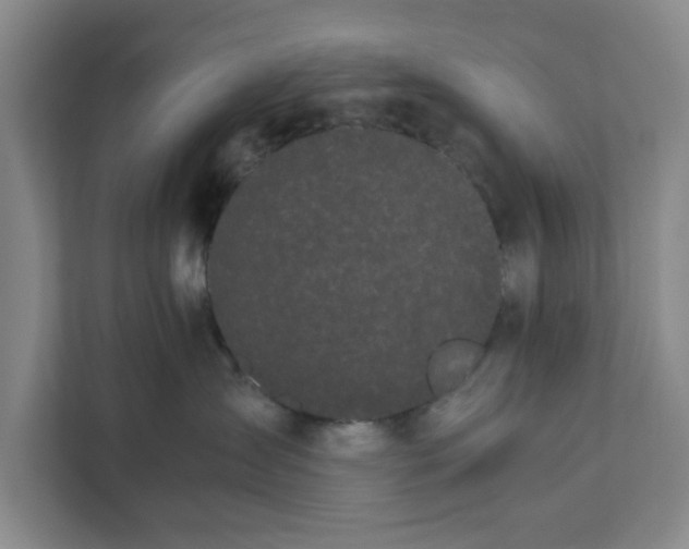 X0000111880431200908061317