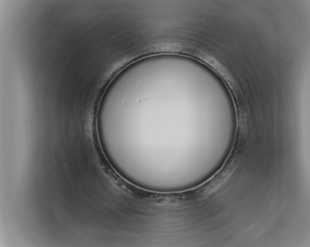 X0000111880434200908061317