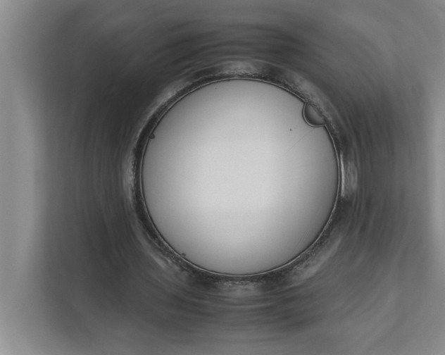 X0000111880435200908061317