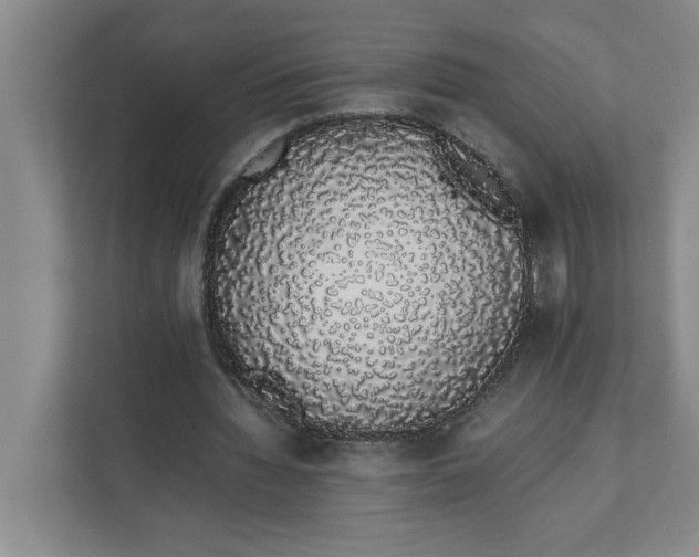 X0000111880436200908061317