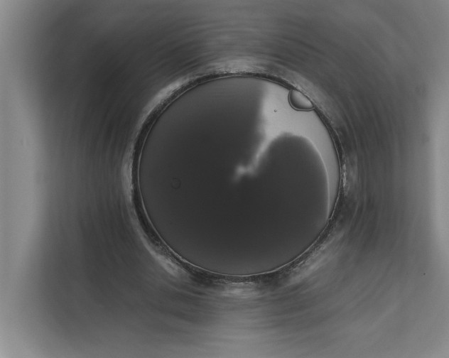 X0000111880438200908061317