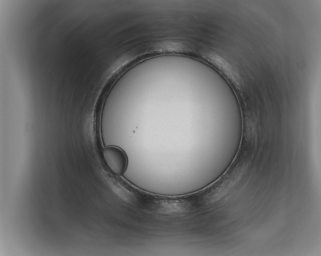 X0000111880439200908061317