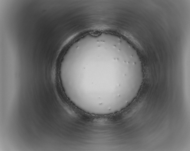 X0000111880440200908061317