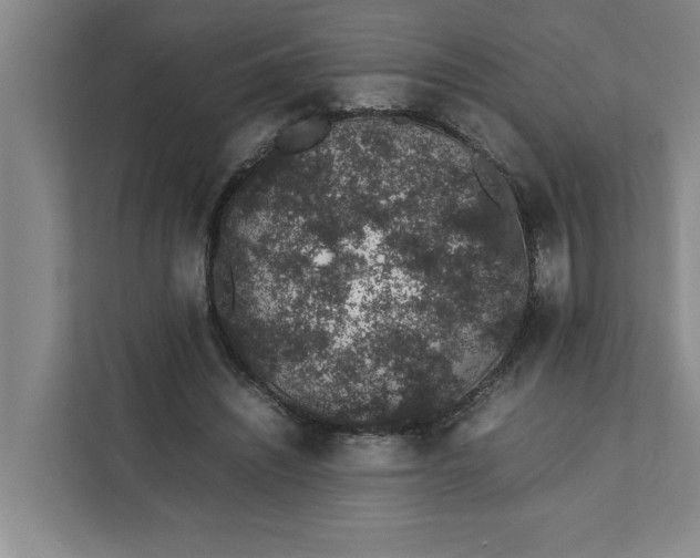 X0000111880444200908061317