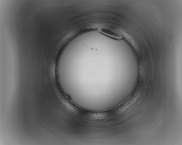 X0000111880445200908061317