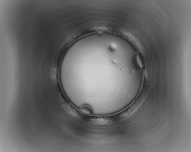 X0000111880449200908061317