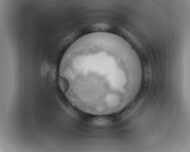 X0000111880451200908061317