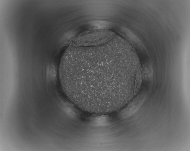 X0000111880456200908061317