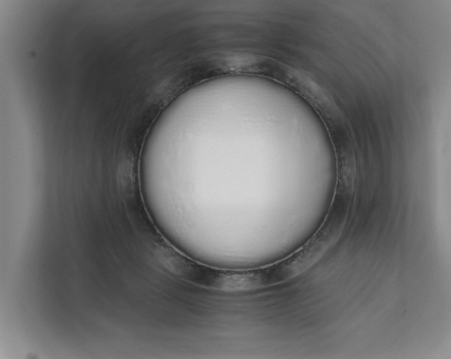 X0000111880461200908061317