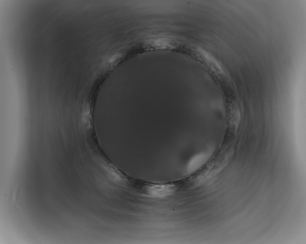 X0000111880465200908061317