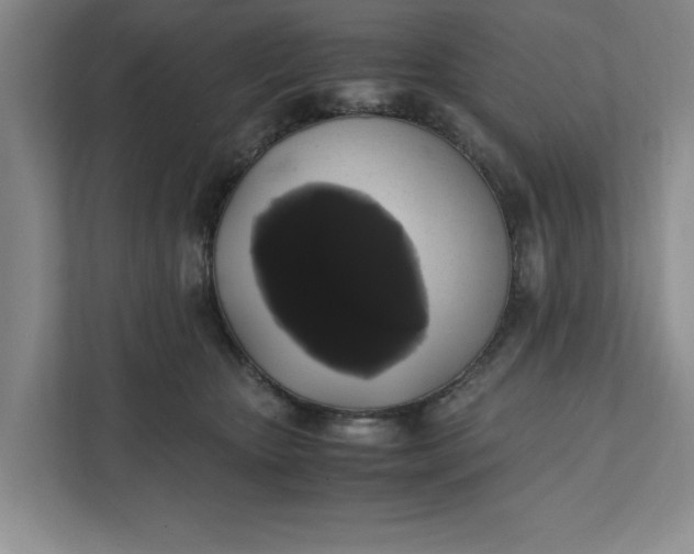 X0000111880467200908061317